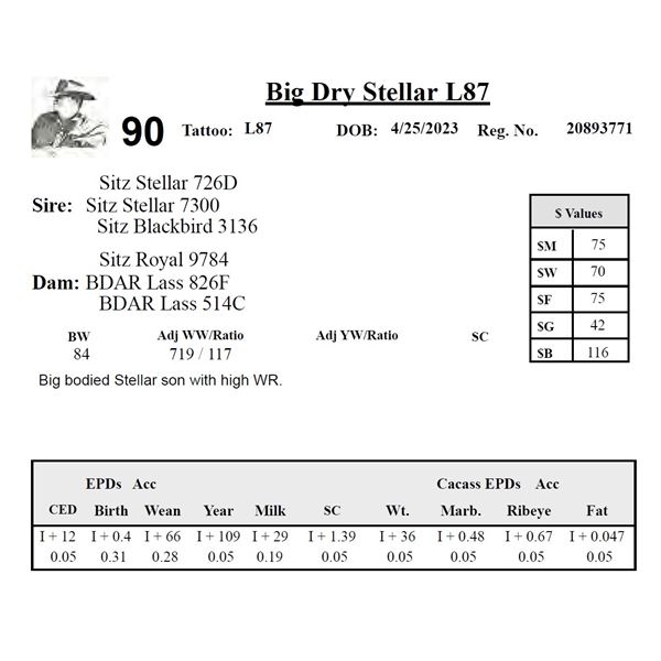 Big Dry Stellar L87