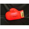 Image 1 : Boxing Gloves