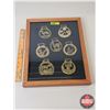 Image 1 : Variety of Vintage Brass Horse Harness Medallions (7) (Displayed in Frame) (Frame Measures: 15-1/4"H