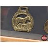Image 2 : Variety of Vintage Brass Horse Harness Medallions (7) (Displayed in Frame) (Frame Measures: 15-1/4"H