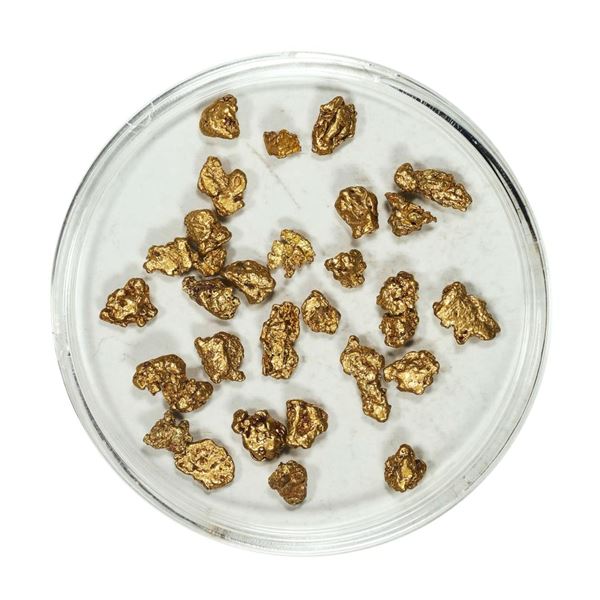 Gold Nuggets 5.00 Grams Total Weight