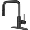 Image 1 : NEW TQKAG KITCHEN SINK FAUCET IN BLACK MATT COLOUR