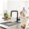 Image 2 : NEW TQKAG KITCHEN SINK FAUCET IN BLACK MATT COLOUR