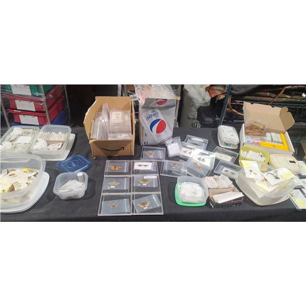 LEPIDOPTERIST'S COLLECTION/ BUTTERFLY COLLECTION - HAS SOME DRAGON FLY/DARNER SAMPLES, COMES WITH VA