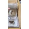 Image 8 : LEPIDOPTERIST'S COLLECTION/ BUTTERFLY COLLECTION - HAS SOME DRAGON FLY/DARNER SAMPLES, COMES WITH VA