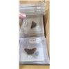 Image 9 : LEPIDOPTERIST'S COLLECTION/ BUTTERFLY COLLECTION - HAS SOME DRAGON FLY/DARNER SAMPLES, COMES WITH VA