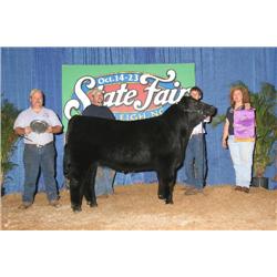 Grand Champion Jr. Market Steer