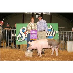 Grand Champion Jr. Market Barrow