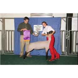 Grand Champion Jr. Market Lamb