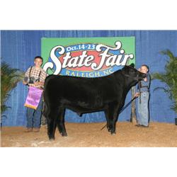 Reserve Grand Champion Jr. Market Steer
