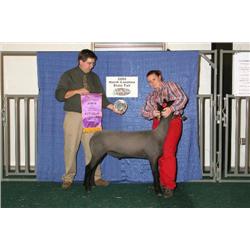 Reserve Grand Champion Jr. Market Lamb