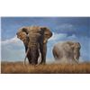 Image 1 : Original acrylics on canvas framed Elephant Painting by Dawie Fourie