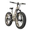 Image 1 : E- Bike