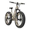 Image 1 : E- Bike