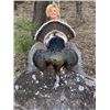 Image 1 : Safari Unlimited Erwin Outdoors Turkey