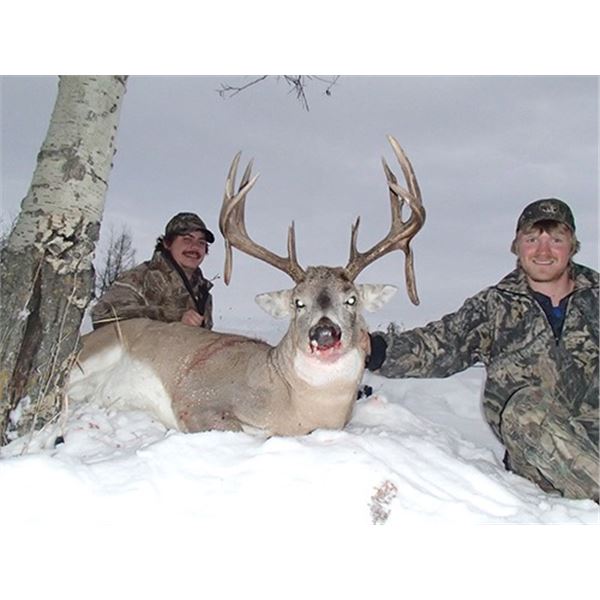 Alberta Whitetail Hunt