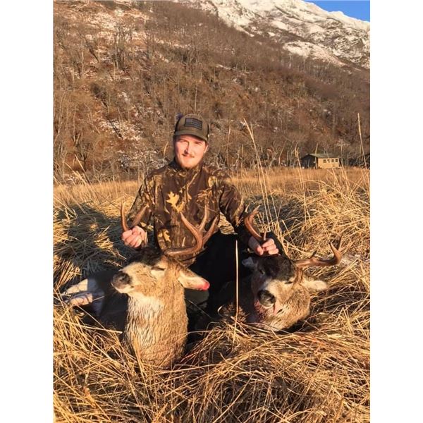 Kodiak Outfitters Blacktail Deer Hunt