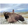 Image 5 : New Zealand Tahr Hunt