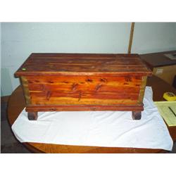 Cedar trunk