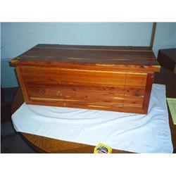 Cedar trunk
