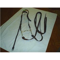 Bridle with rosettes