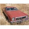 Image 2 : 1977 Chevy El Camino SS