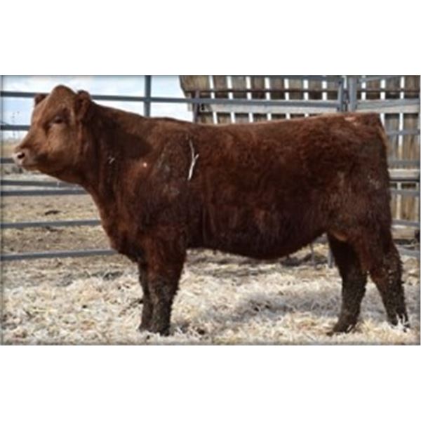 SEGA LEVER ACTION 746L