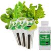 Image 1 : NEW AEROGARDEN HEIRLOOM SALAD GREENS 3 POD KIT