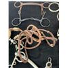 Image 3 : LOT OF VINTAGE HORSE BITS