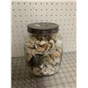 Image 1 : LARGE JAR OF SEASHELLS