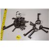 Image 1 : Skeleton key lot