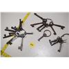 Image 1 : Skeleton key lot