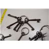 Image 2 : Skeleton key lot