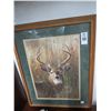 Image 1 : Framed Deer In Woods - 20 x 24