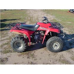 2001 Yamaha Bear Tracker