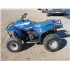 Image 1 : 1993 Polaris 250
