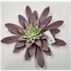 Image 2 : Lot of 5 Hanging Metal Flower Decor