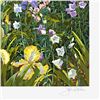 Image 2 : Fox Gloves and Irises by Powell, John