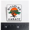 Image 1 : NEW MIYAGI-DO KARATE LAPEL PIN