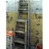 Image 1 : Lot of 2 ladders (84)