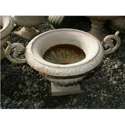 CHOICE on 6 10" planters (100)