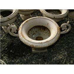 CHOICE on 6 10" planters (100)