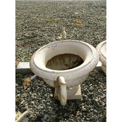 CHOICE on 6 10" planters (100)