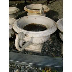 CHOICE on 6 10" planters (100)