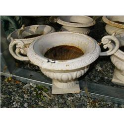 CHOICE on 6 10" planters (100)