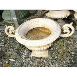 CHOICE on 6 10" planters (100)