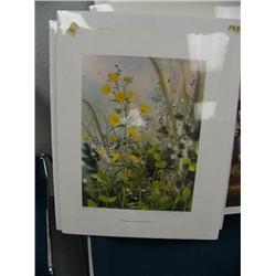 Signed print by Nancy Taylor-Stonington "Buttercups" done in 1977 (86)