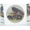 Image 4 : Lot of 3 Mother's Day posters by Ronnie Lee Lynch: 1986 poster called "Wolf Cubs at Play", print 230