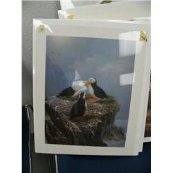 CHOICE on 2: puffin print done by Tok Hung, signed and numbered (86)