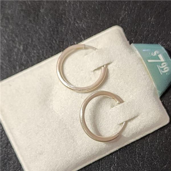 Silver Hoops Earrings, Suggested Retail Value $40